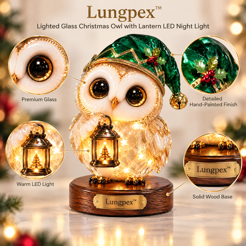 Lungpex™ Light-Up Glass Christmas Owl with Lantern LED Night Light