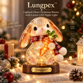 Lungpex™ Light-Up Glass Christmas Bunny with Carrot LED Night Light